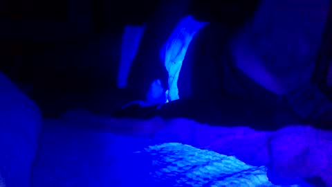 Snapshot of jaysobricked chatting on February 7, 2025, 6:35 am Jaysobricked online show from February 7, 2025, 6:35 am