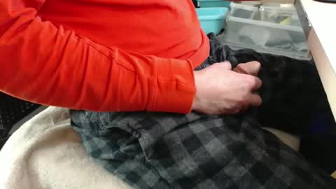 jc200000 online show from December 17, 2025, 9:54 pm