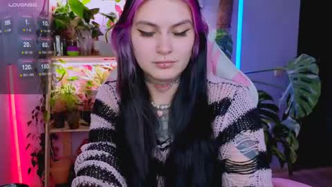 Jelya online show from April 28, 2026, 4:34 pm