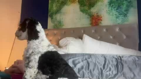 jenny1777 online show from June 21, 2026, 1:08 am