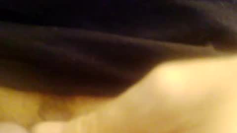 Snapshot of jepn1112 chatting on December 9, 2024, 9:05 pm JoeEBear online show from December 9, 2024, 9:05 pm