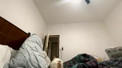 jericho810333 online show from March 30, 2026, 11:06 pm