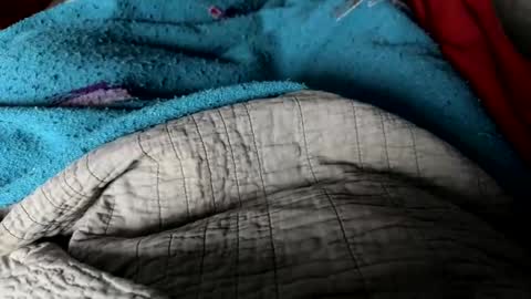 Snapshot of jerswill chatting on December 25, 2024, 2:34 pm Jeremys room chill and puff one enjoy online show from December 25, 2024, 2:34 pm