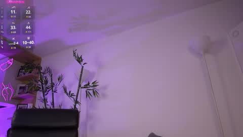  Jessica Pratt  IG jessicaxpratt online show from March 8, 2026, 2:04 am