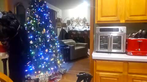 seductress Cyber Succubus online show from December 18, 2025, 10:16 pm