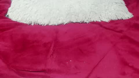 Snapshot of jessymoon00 chatting on November 25, 2025, 12:43 am jessy online show from November 25, 2025, 12:43 am