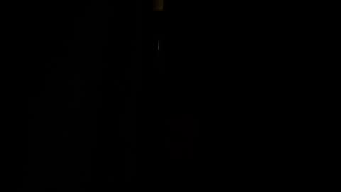 jestersquid89 online show from September 13, 2025, 10:31 pm