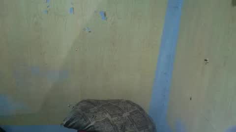 jillian_fuckdoll online show from December 22, 2025, 2:58 pm