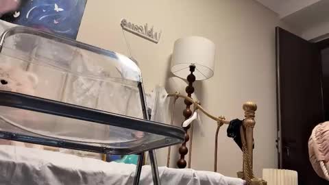 meng meng online show from February 4, 2026, 2:45 pm