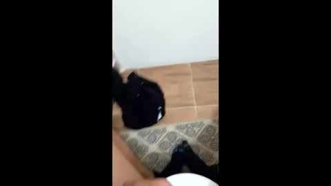 jixldfseepsv online show from January 17, 2026, 12:21 pm