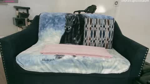 Nicole  Allen online show from January 1, 2025, 10:24 pm