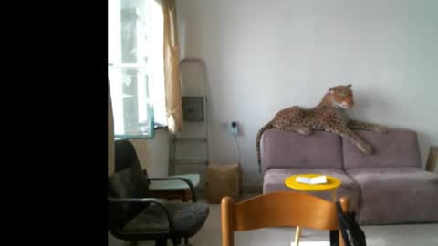 jlmbud online show from September 29, 2025, 10:20 am