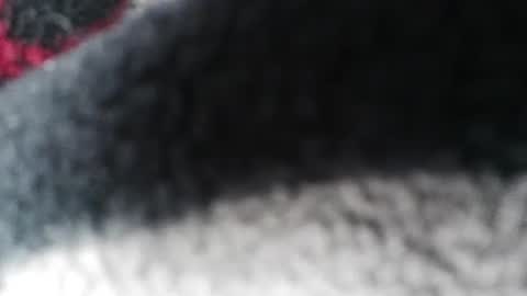 Snapshot of jlovindemsm chatting on February 23, 2025, 5:56 am Jimmy online show from February 23, 2025, 5:56 am