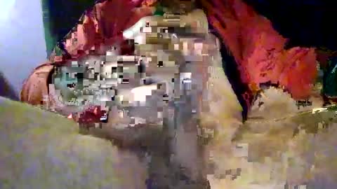 joe_says_hi online show from November 16, 2025, 8:58 pm