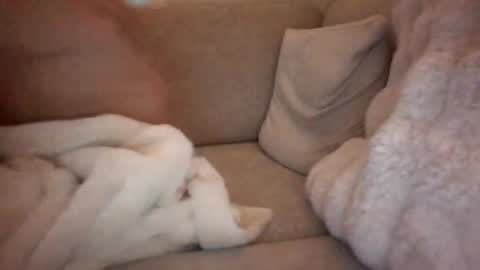 Snapshot of joeybanan chatting on December 14, 2025, 8:09 am joeybanan online show from December 14, 2025, 8:09 am