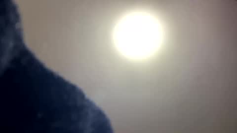 JOHN online show from February 6, 2025, 3:59 am