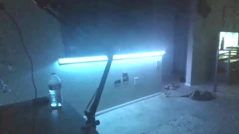 johnnyfaround online show from September 19, 2025, 4:58 am