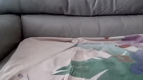 Snapshot of johnpauljones chatting on March 5, 2025, 8:10 pm bigger than some online show from March 5, 2025, 8:10 pm