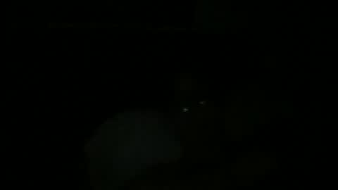 John Ukber online show from December 9, 2024, 12:45 am