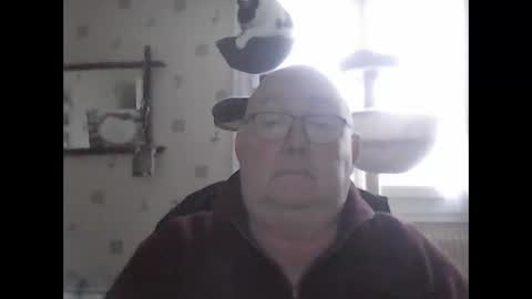 Snapshot of jojo60000529566 chatting on December 7, 2024, 2:13 pm jojo60000529566 online show from December 7, 2024, 2:13 pm