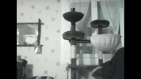 Snapshot of jojo60000529566 chatting on January 8, 2025, 7:13 pm jojo60000529566 online show from January 8, 2025, 7:13 pm