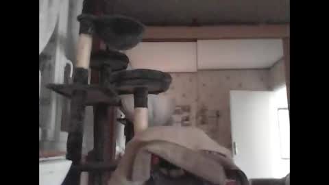 Snapshot of jojo60000529566 chatting on March 4, 2025, 3:15 pm jojo60000529566 online show from March 4, 2025, 3:15 pm