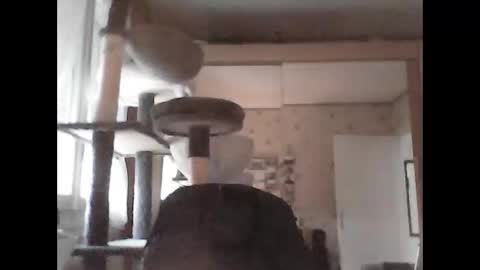 Snapshot of jojo60000529566 chatting on September 29, 2025, 5:07 pm jojo60000529566 online show from September 29, 2025, 5:07 pm