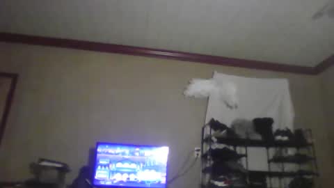 Snapshot of jojosbizarrelyf chatting on November 20, 2025, 2:56 am jojosbizarrelyf online show from November 20, 2025, 2:56 am