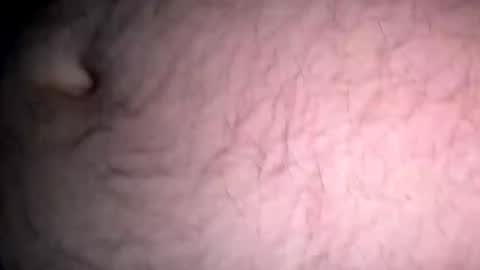 Snapshot of jokapirate43 chatting on November 14, 2025, 10:36 am jokapirate43 online show from November 14, 2025, 10:36 am