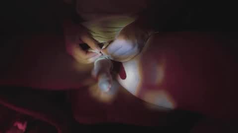 jonahshyfap online show from January 9, 2025, 2:22 am