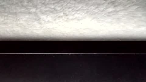 John loves pussy online show from March 31, 2026, 3:30 am