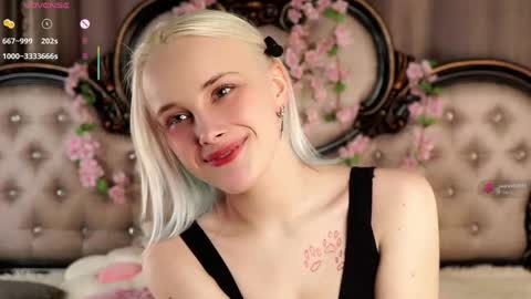 Alice online show from April 26, 2026, 11:08 am