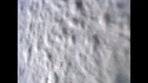 Snapshot of jonny_xp chatting on March 29, 2026, 12:54 am Jonny online show from March 29, 2026, 12:54 am