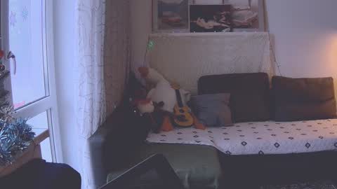 Snapshot of joy_keys chatting on January 9, 2025, 11:58 am joy_keys online show from January 9, 2025, 11:58 am