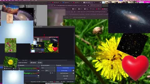 Snapshot of jpsunflower chatting on October 13, 2025, 9:09 am JP Sunflower Angel Love online show from October 13, 2025, 9:09 am