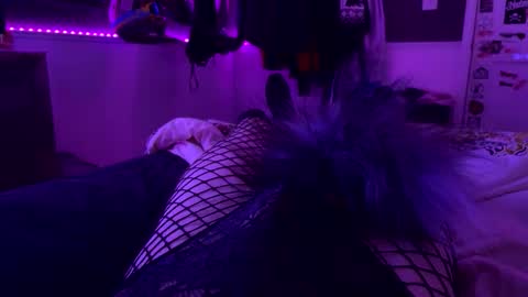 Snapshot of jrod11229 chatting on October 24, 2025, 2:30 am jrod11229 online show from October 24, 2025, 2:30 am