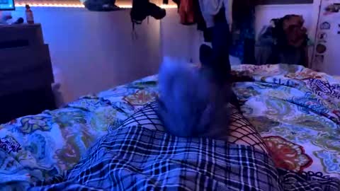 Snapshot of jrod11229 chatting on October 27, 2025, 2:15 am jrod11229 online show from October 27, 2025, 2:15 am