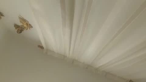 Snapshot of juanmapapiirico chatting on November 14, 2025, 3:27 am JuanmaSEX online show from November 14, 2025, 3:27 am