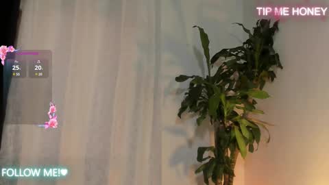 Juan Miguel online show from February 14, 2025, 11:53 am