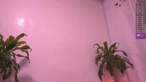 Snapshot of juice6abby9 chatting on May 15, 2026, 3:02 am Sisi online show from May 15, 2026, 3:02 am
