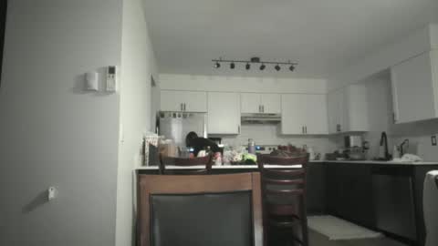 Snapshot of juicysavanah chatting on December 5, 2025, 5:05 am Sav online show from December 5, 2025, 5:05 am