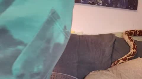 Snapshot of julia_official chatting on November 7, 2025, 5:02 pm julia_official online show from November 7, 2025, 5:02 pm