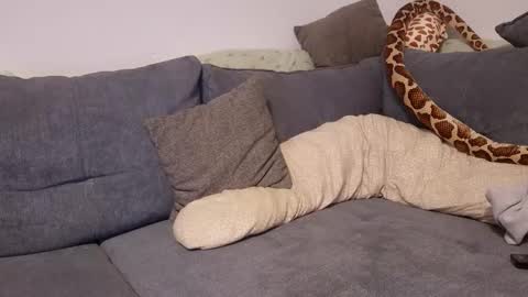 Snapshot of julia_official chatting on November 11, 2025, 10:21 pm julia_official online show from November 11, 2025, 10:21 pm