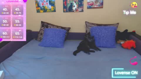 Snapshot of juliasane_ chatting on May 20, 2026, 12:44 pm Jul online show from May 20, 2026, 12:44 pm