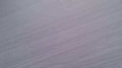 JuanAn online show from January 9, 2026, 11:57 am