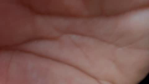 Layla online show from January 23, 2025, 10:32 am