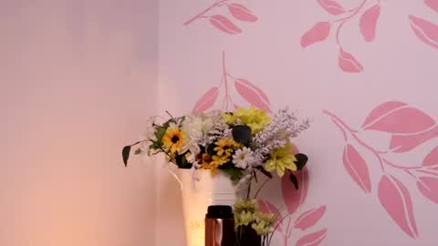 Snapshot of justnala_ chatting on June 29, 2026, 10:15 am Nala online show from June 29, 2026, 10:15 am