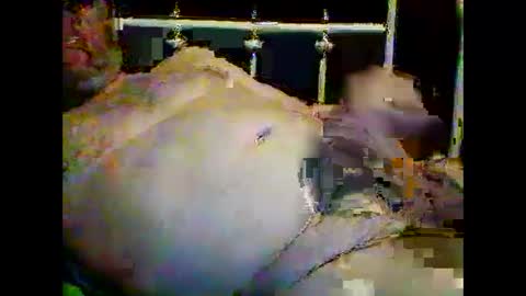 Snapshot of justpervfun chatting on January 15, 2025, 12:41 am justpervfun online show from January 15, 2025, 12:41 am