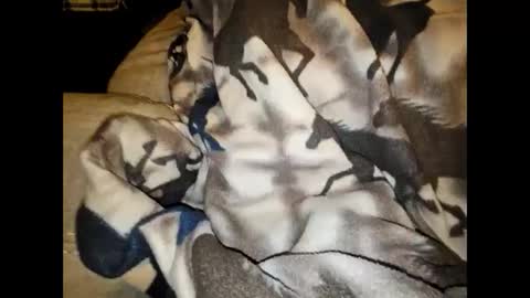 Snapshot of justswack chatting on December 7, 2024, 8:44 am justswack online show from December 7, 2024, 8:44 am