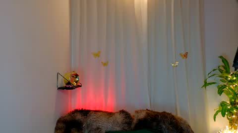 Snapshot of kaaiiri chatting on June 18, 2026, 2:45 am Kaaiiri online show from June 18, 2026, 2:45 am